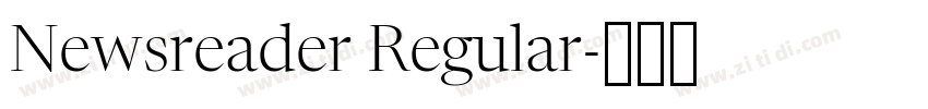 Newsreader Regular字体转换